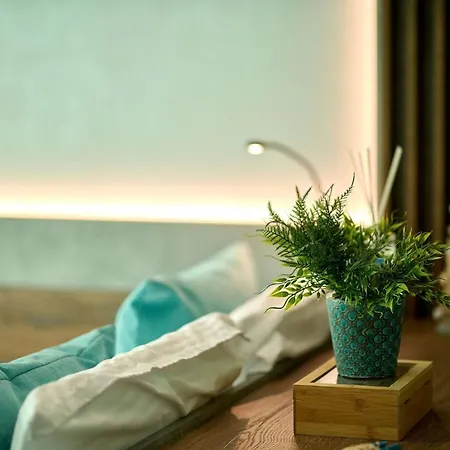 Blue Bamboo Pools And Parking *